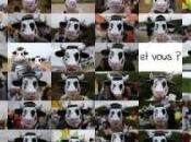 Alimenter ferme Mille vaches