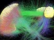 CERVEAU: Quand choisit pilotage automatique NeuroImage