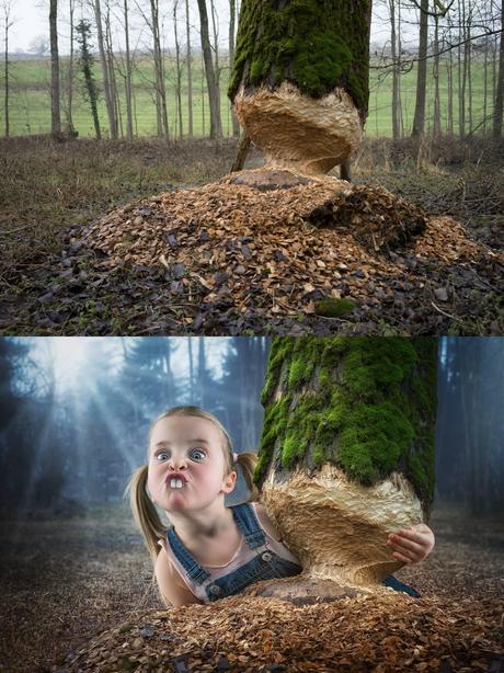 John Wilhelm is a photoholic – Just a little beaver / retouches photos