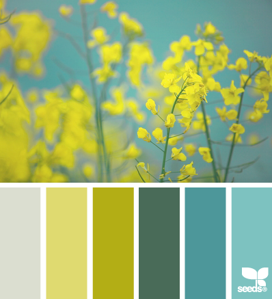 SpringFlora_2 - design-seeds - choix teintes, tons, couleurs