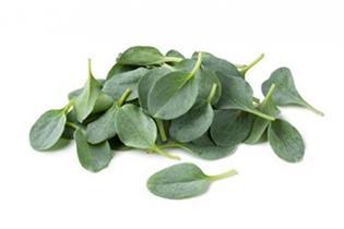 707891040_63219871_59711062