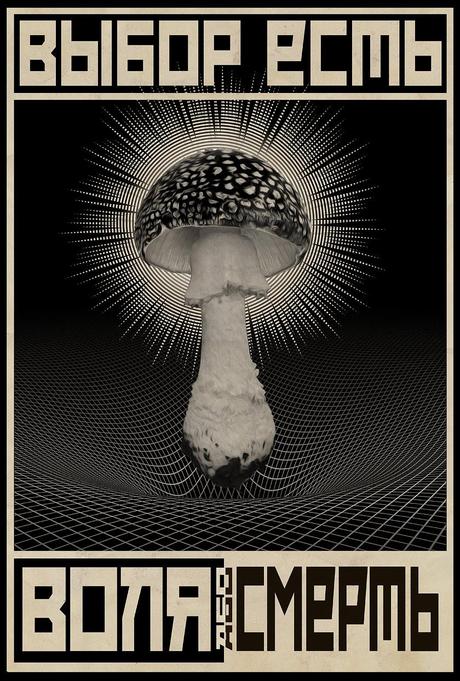 Alexey Sovertkov : photography – concept