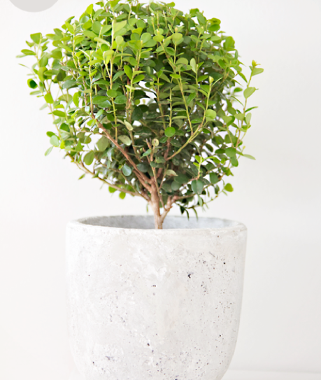 Mes coups de coeur déco de la semaine…