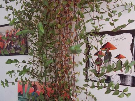 conique de circonstance