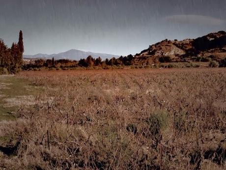 Faire pleuvoir ? Y a une appli pour ça...