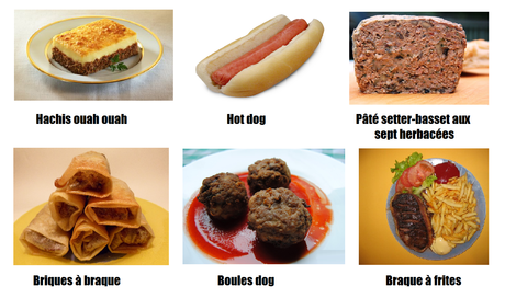 PLUTOT QUE LOTTE-RIZ...CHIEN