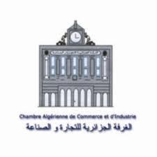Mise en place en mars prochaine d’une section de la Chambre algérienne de commerce et d’industrie en France (DG)