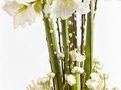 Tendance Interflora janvier: fleurs blanches