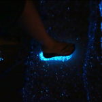 L’IMAGE DU JOUR : Bioluminescent Phytoplankton