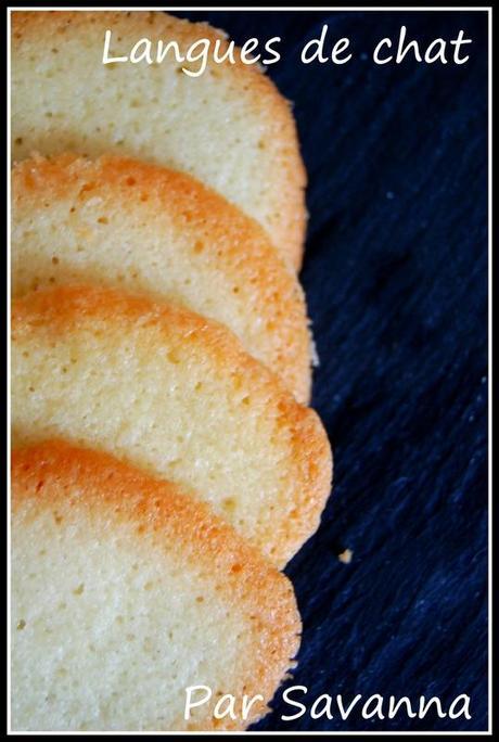 Langues de chat DSC_0891