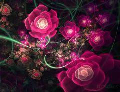 Au nom de mes roses_Flowerings_76_Love1008