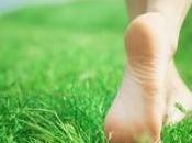 VITAMINE soleil détend aussi vaisseaux sanguins Molecular Endocrinology