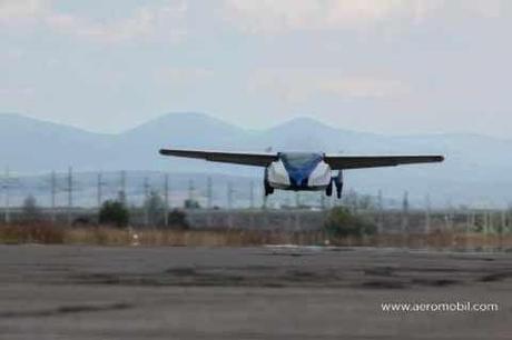 Une nouvelle qui rassurera les écologistes : les animaux savent s'adapter. La preuve avec la nouvelle apparence des oiseaux vivant en milieu urbain... 