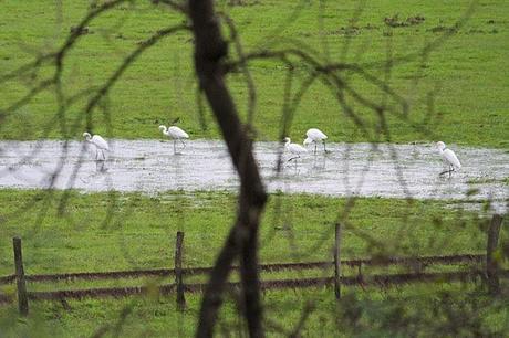 Canal de la Marne au Rhin