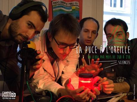 Equipe 2013-2014 ! lapucealoreilleok-web