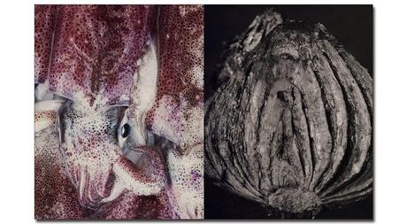 PER-ANDERS JORGENSEN