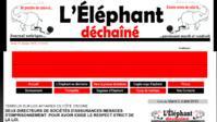 Capture d'écran du site Internet de L'éléphant déchaîné