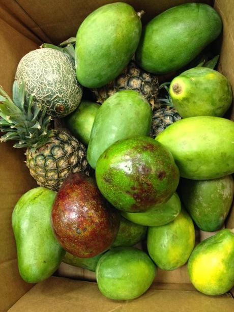 Papayes et factures proforma