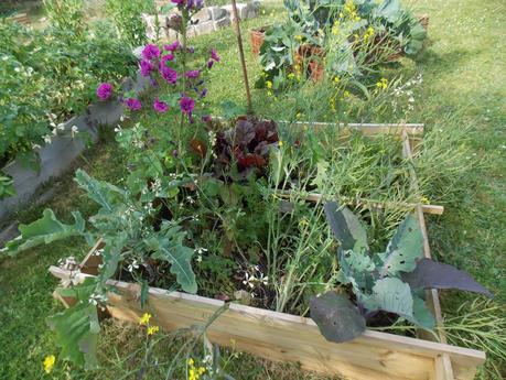 L'agroécologie pour résoudre le problème de la faim dans le monde