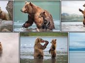 Terre ours Découvrez photos inédites film