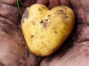 Durable, durable, est-ce j'ai tête durable Diners Durables deux diners gagner Table Cybèle, restaurant Cybèle Idelot