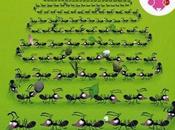 Mille milliards fourmis, livre éditions Seuil Jeunesse