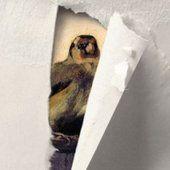 Café Powell est un webzine culturel. N'hésitez pas à commenter, partager et participer !