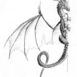 Flash pour tatouage de dragons (69)