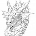 Flash pour tatouage de dragons (66)
