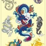 Flash pour tatouage de dragons (24)