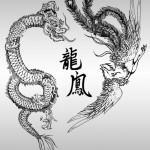 Flash pour tatouage de dragons (4)