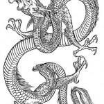 Flash pour tatouage de dragons (9)