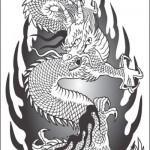 Flash pour tatouage de dragons (3)