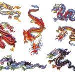 Flash pour tatouage de dragons (28)