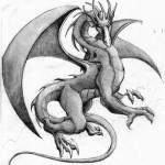 Flash pour tatouage de dragons (72)