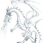 Flash pour tatouage de dragons (71)
