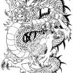Flash pour tatouage de dragons (95)