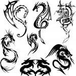 Flash pour tatouage de dragons (19)