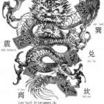 Flash pour tatouage de dragons (10)