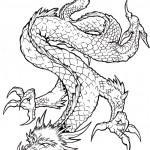 Flash pour tatouage de dragons (63)