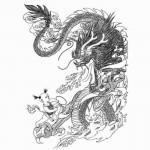 Flash pour tatouage de dragons (11)