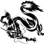 Flash pour tatouage de dragons (93)