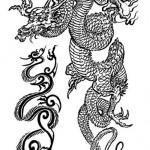 Flash pour tatouage de dragons (6)
