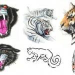Flash pour tatouage d'animaux (91)