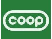 Coop Alsace confirme cession magasins proximité