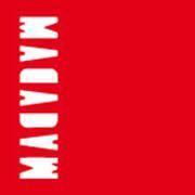 Le cercle des confidentes, tome 1 : Lady Megan de Jennifer McGowan éditions macadam.jpg