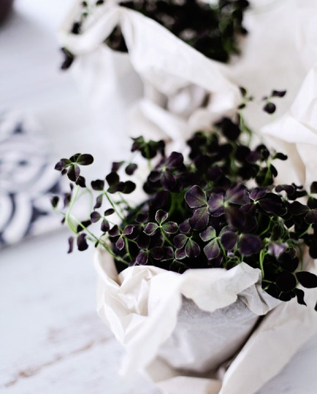 Mes coups de coeur déco de la semaine…