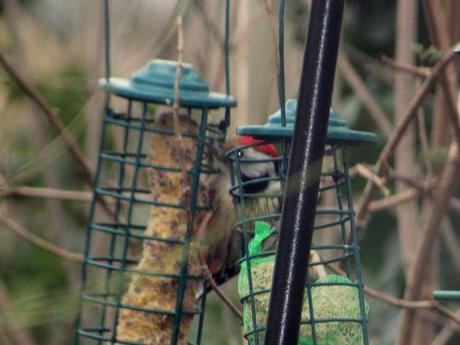 pic mar 25 janv 2014 012.jpg