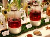 Ateliers infusions chez Organic