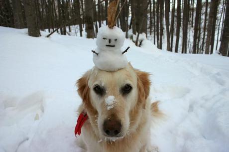 Profitez de l'hiver ou quoi faire dans la neige avec les enfants Profitez de l'hiver ou quoi faire dans la neige avec les enfants
